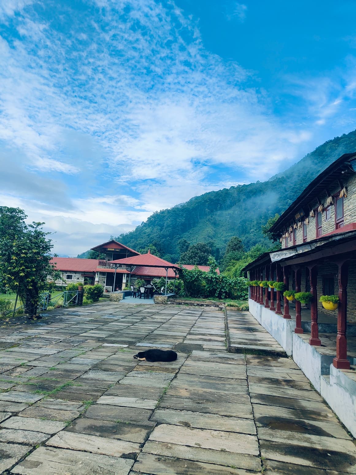 Physical Preparation for Yoga Trekking